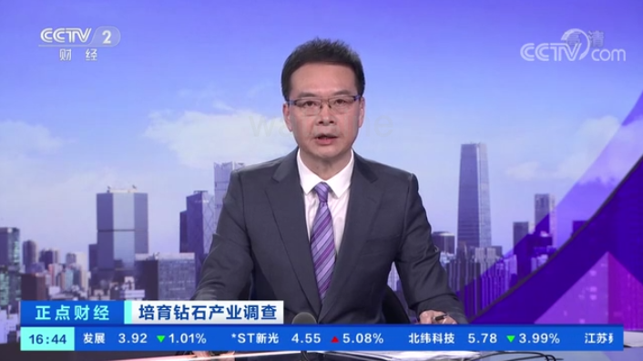 培育钻石市场占有率提升，某品牌实现了300%的销售增长率